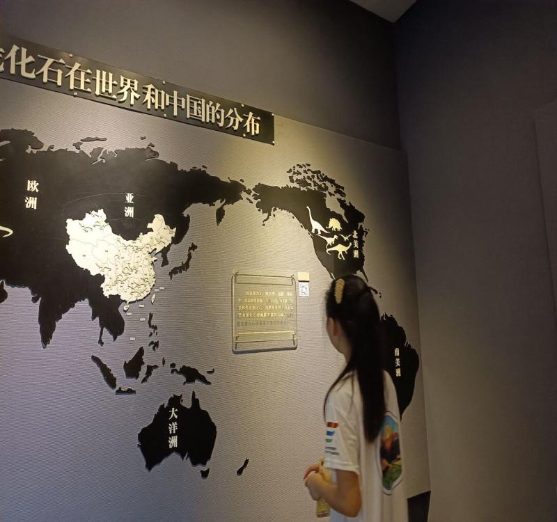 ���M(j��n)�в����^��̽�������r(sh��)��