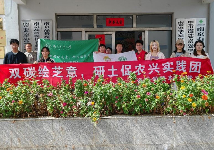 ���p̼���L֥�⣬�������r(n��ng)�d