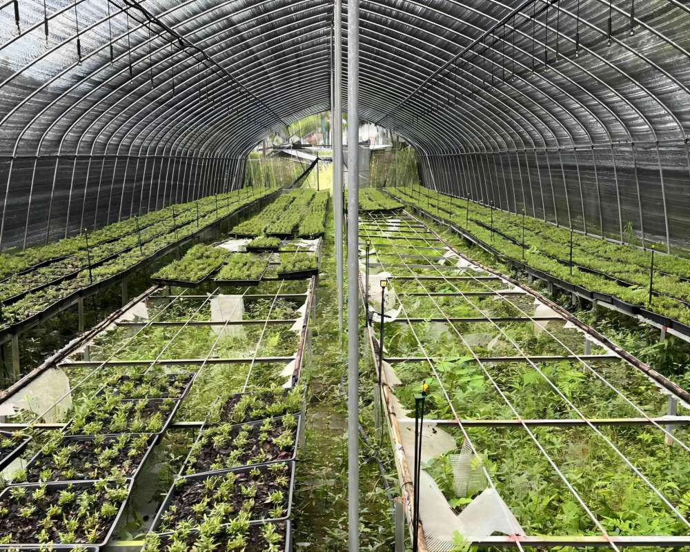 �V��W�ӻ�ɽʯ��̽�أ������ǻۣ����·Nֲ�������l�����d��