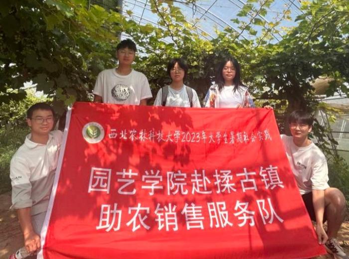 ���r�N���Ƅ��l�����d ���ա����r���V���µ�ƪ��