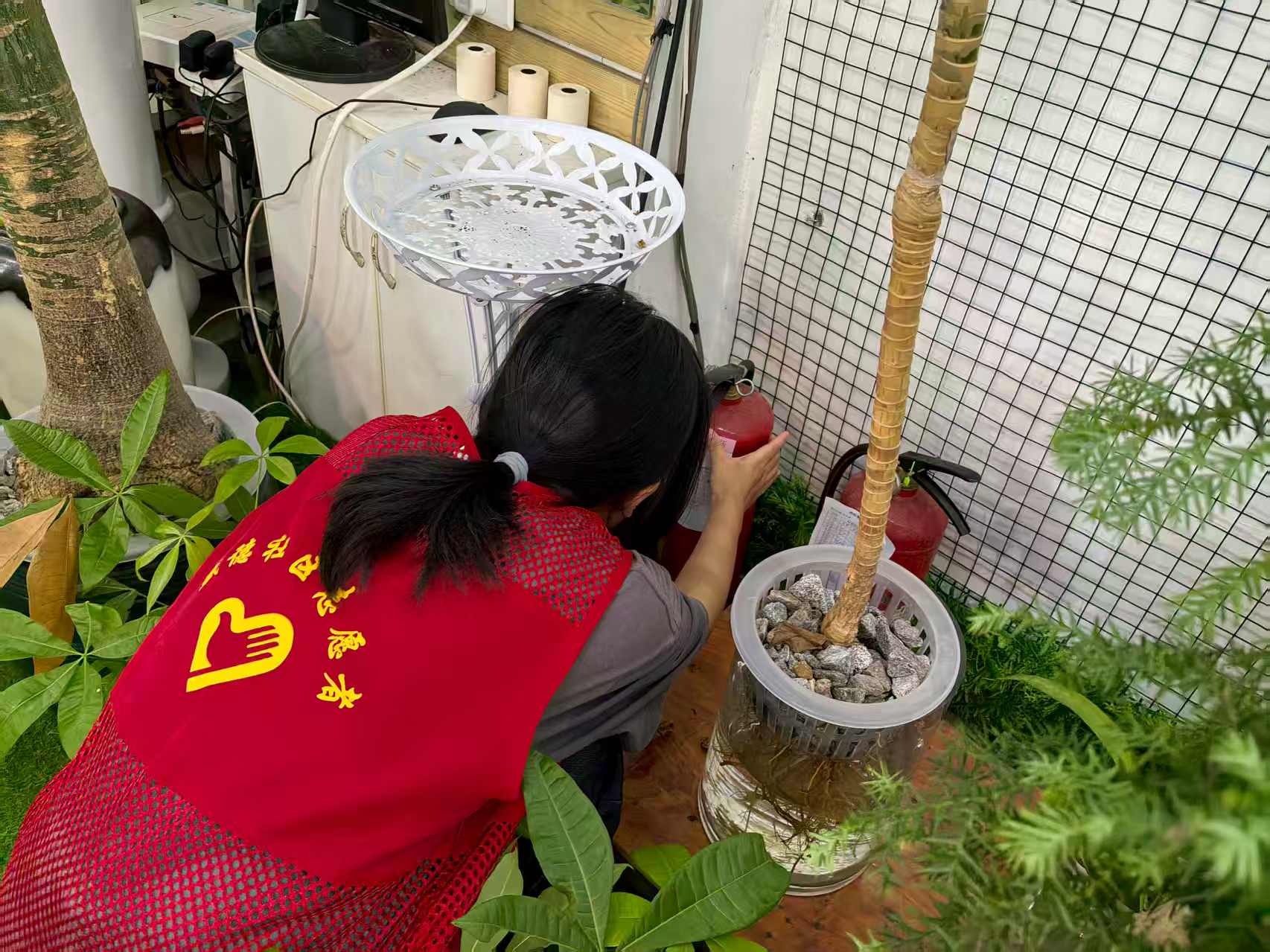 �����t(y��)���~�����(du��)����ʢ����^(q��)������˨�[�� �Է����l(xi��ng)��(sh��)�`��ƽ������(xi��n)