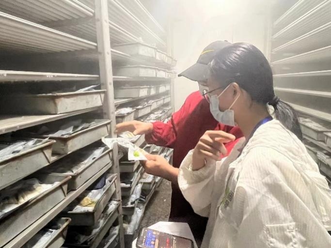 �����|���ഺ֮�����L�l�����d�®���