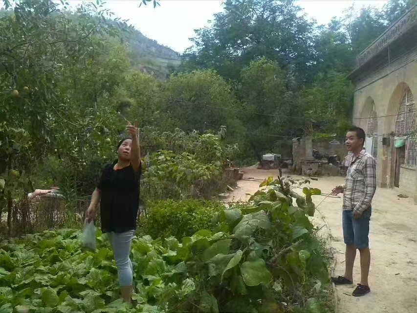 �������g(sh��)�WԺ�W�������l(xi��ng)���_չ�в�ˎ���ؿ��졪�����݌���