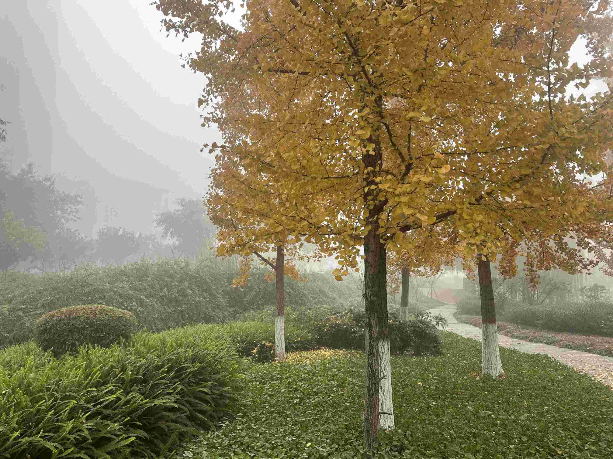 �M��ζ�٣��䌍��������ʯ�ʹ�W�Ķ���