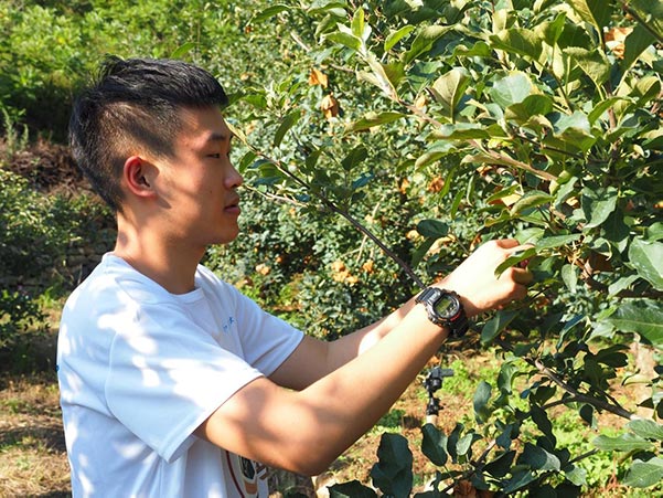 ��С�����r���`�F��՟��_��ϼ�����f�^����@�ɹ�