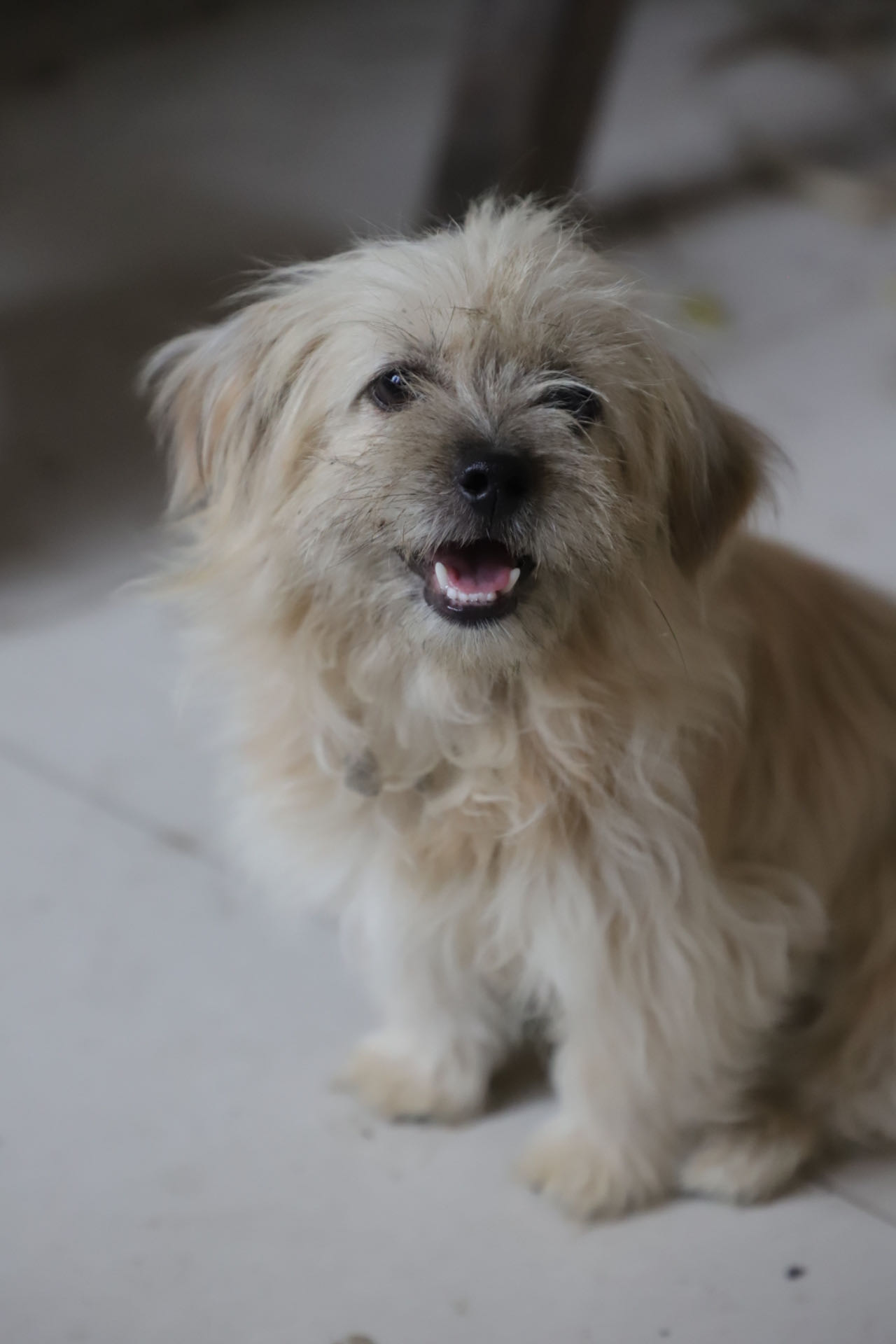 ������ɫ�ʣ�׌��(��i)�����ˡ����P(gu��n)��(��i)���˄�(d��ng)�����(hu��)��(sh��)�`��(b��o)��