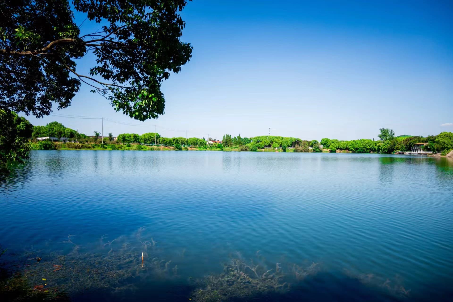 ���ݹ��WԺ�W������Mɽ��ˮ���{������˼�ǻ۹��탞��