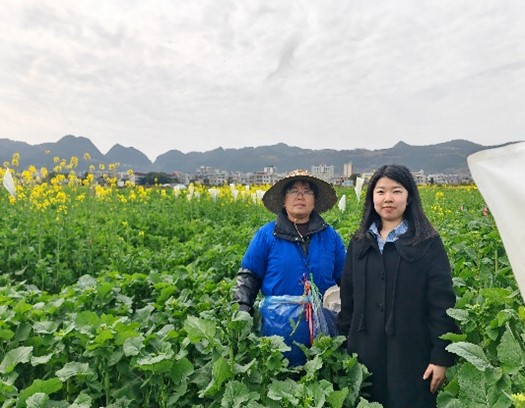 �l(xi��ng)�����d���`���l(xi��ng)�����