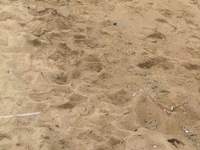 ����ɳ���[���{(di��o)�ЈF(tu��n)��ɺ���ʡ�������{(di��o)��