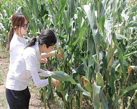 ��ѿ�Єӣ����`�T�ͳ��L���ڄӄ�(chu��ng)��ؔ��