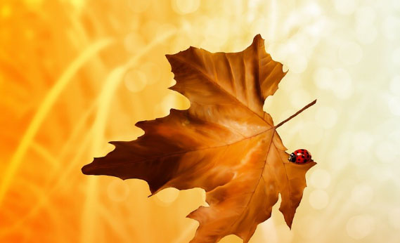 ����������~