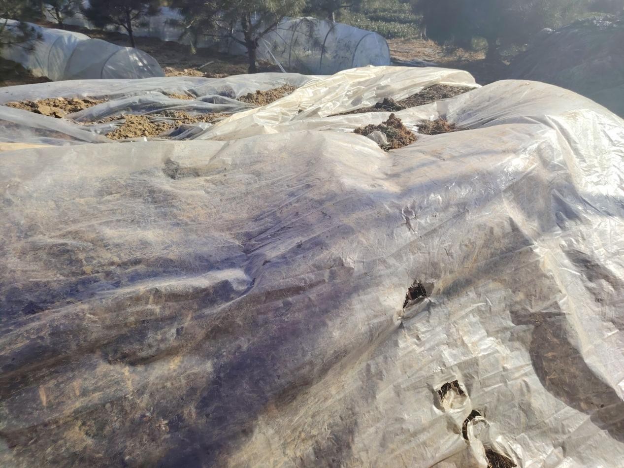 �Ƽ��x�ܲ�a�I���ഺ�����l�����d