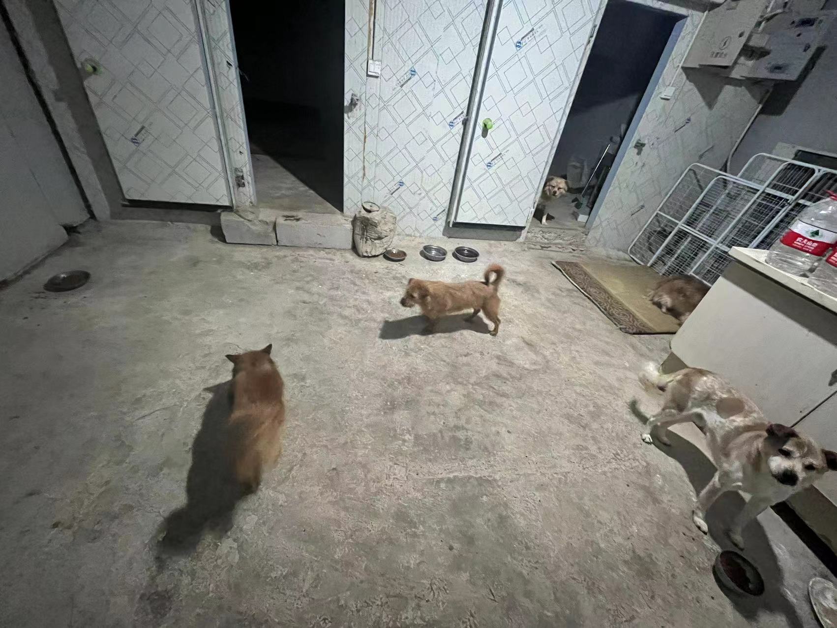 ��������ɫ�ʣ�׌��(��i)�����ˡ��������(hu��)��(sh��)�`�F(tu��n)�(du��)