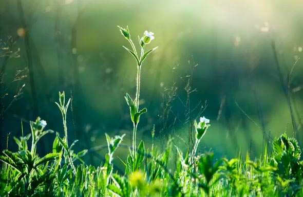 Ц�����´��L(f��ng)