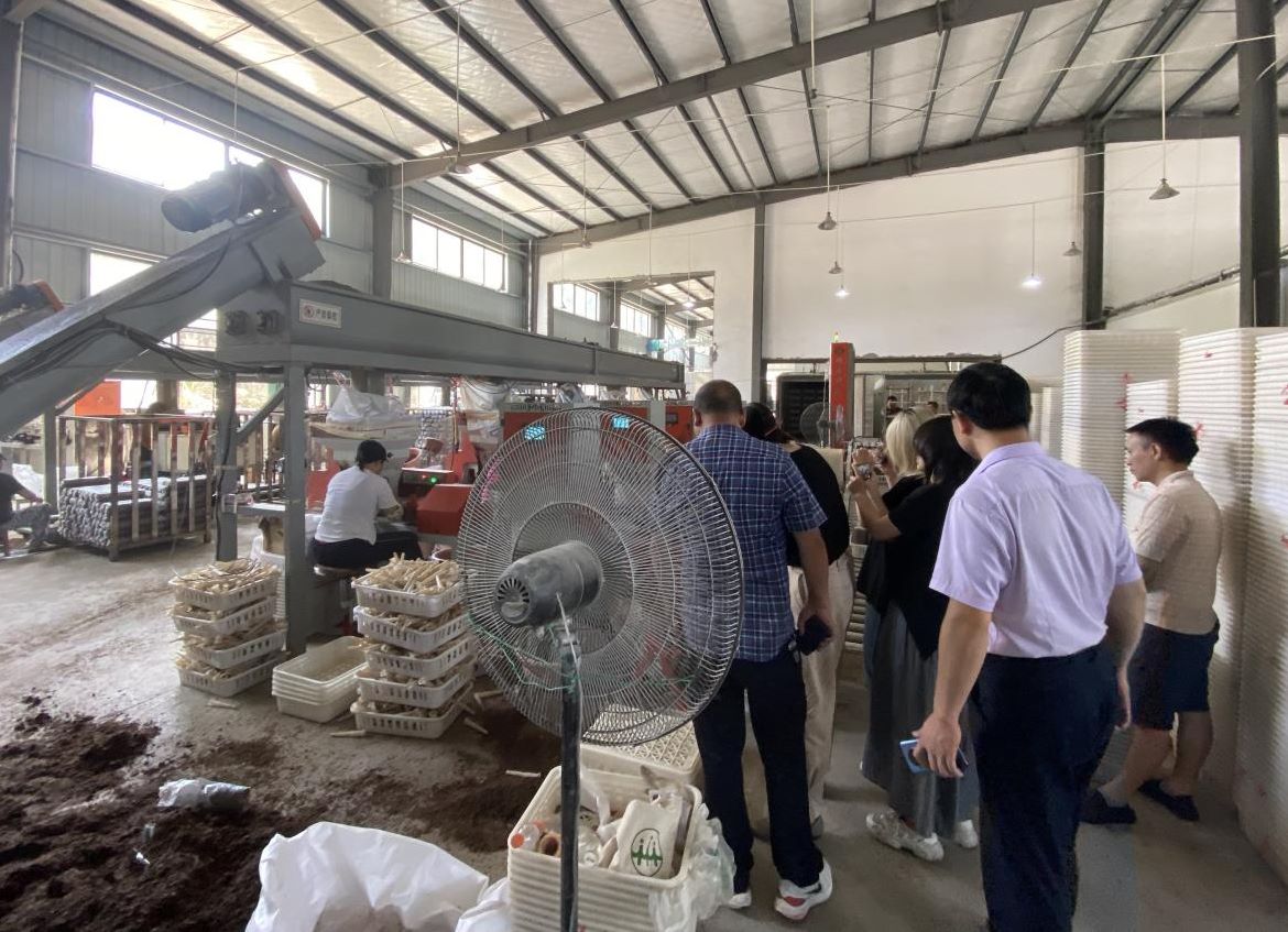 ���ƌW������������ˮ���������`ꠁ������ؿ����{��