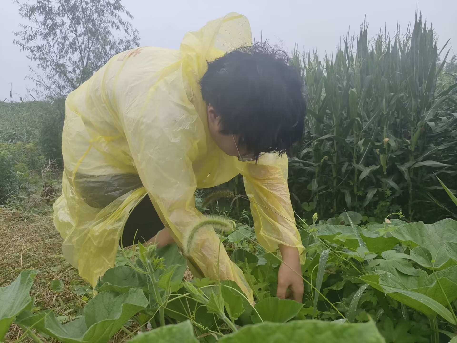 ����С�r(n��ng)�ˡ�����(zh��n)ǰ���r(n��ng)��`���