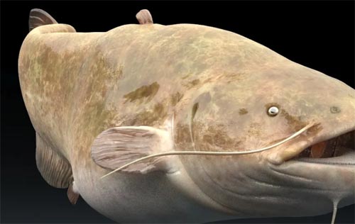 ��������~