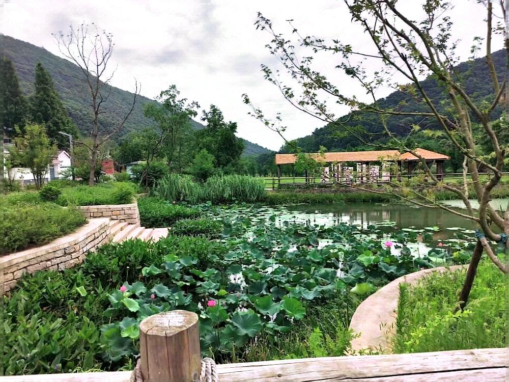 ��ã�̽�����y�c�F�����ڵ����΄ٵ�