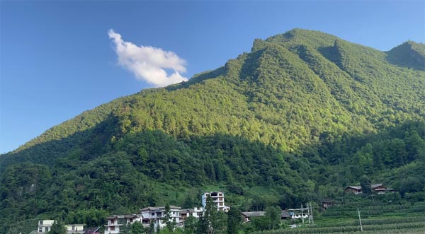 �x���l(xi��ng)��D��(sh��)�^���P(gu��n)��(��i)��ɽ���؃�ͯ