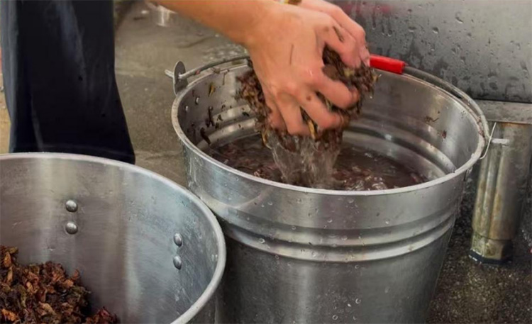 �ŷ��ɲݣ������q�»ظʣ����Y���z����