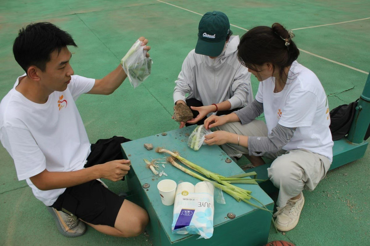 ������������ƌW�w�������_