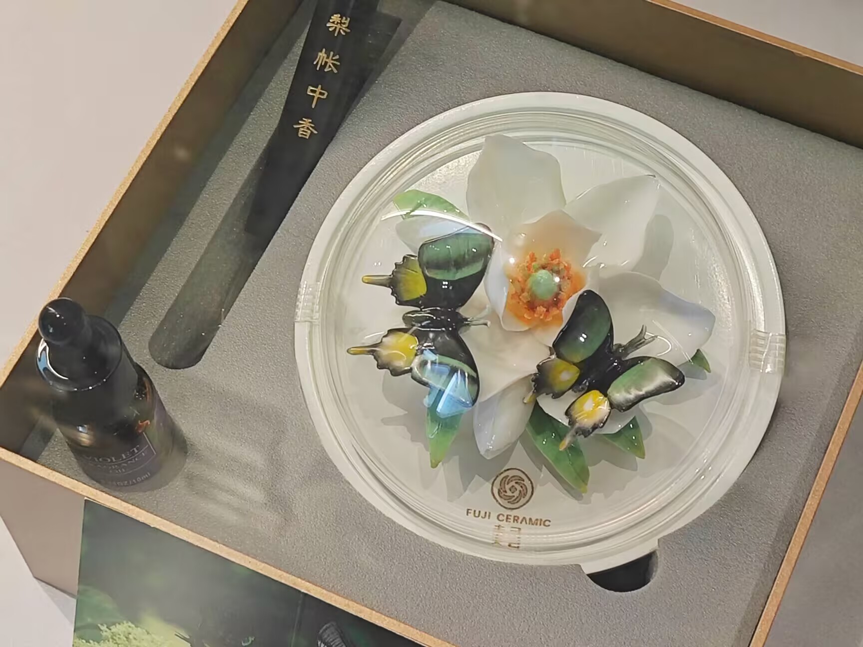 ��Ғ���Ї��ס� �w����ɽ�G�� �����r�ִ�Wֲ�ﱣ�o�WԺ���`�ǰ���»��h����ɽ���B�����^�_չ