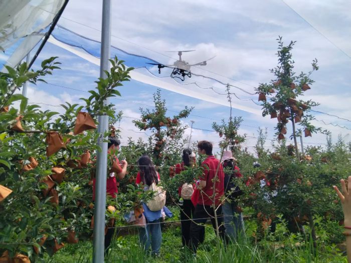 �������A�WԺ�G�X�t�O���h��{�ж����(zh��n)�O����ժ�Cе����