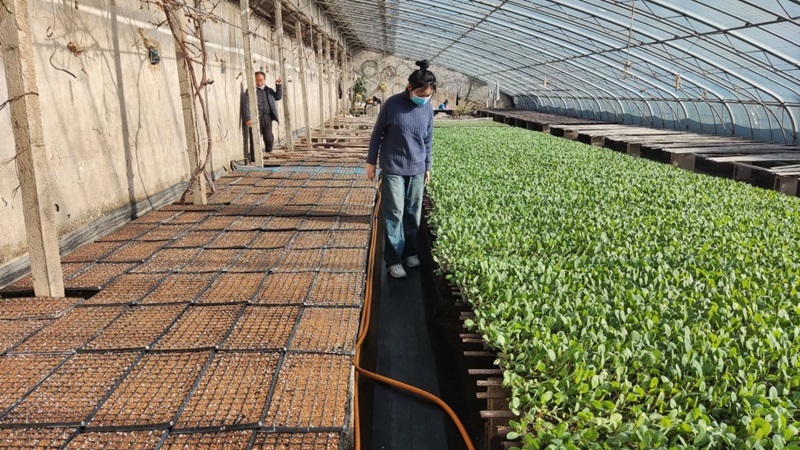 �ƽ�F�����D ̽�����`·��