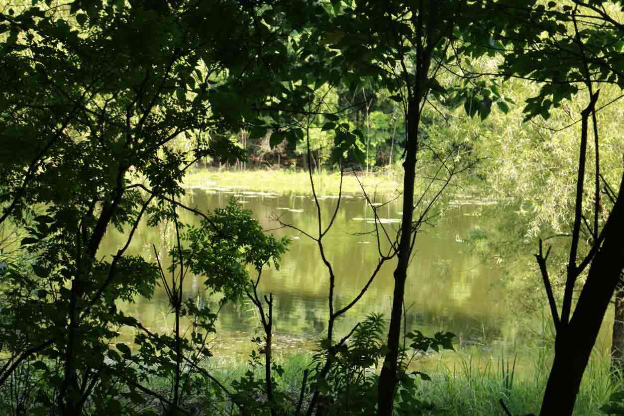 Ȥ�ϝ�أ����ҡ�����Ȼ