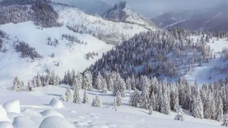 2024��ڶ���(ch��ng)ѩ