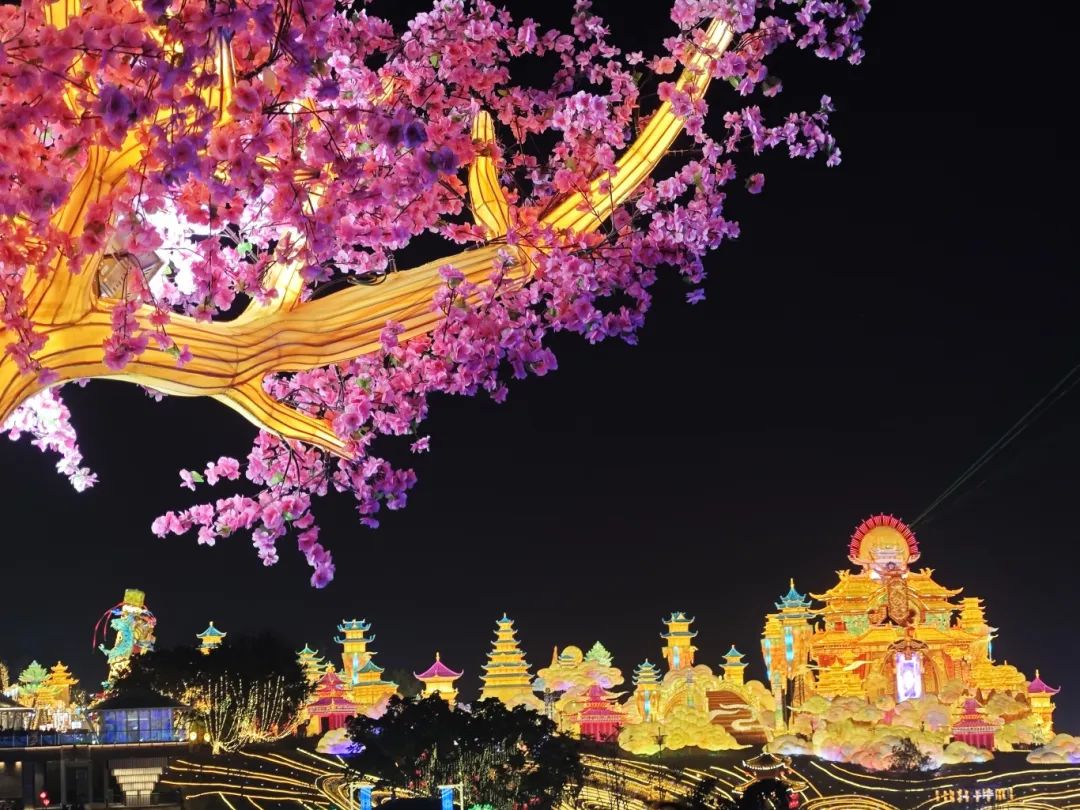 ���z��퍂��ЈF�����z��퍂��С���ؕ�c��������