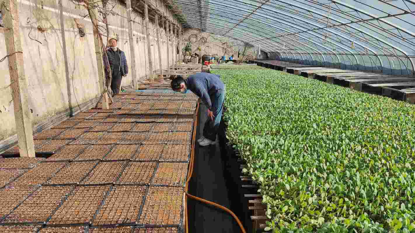 ���e�r�I���l�l�����d�»���