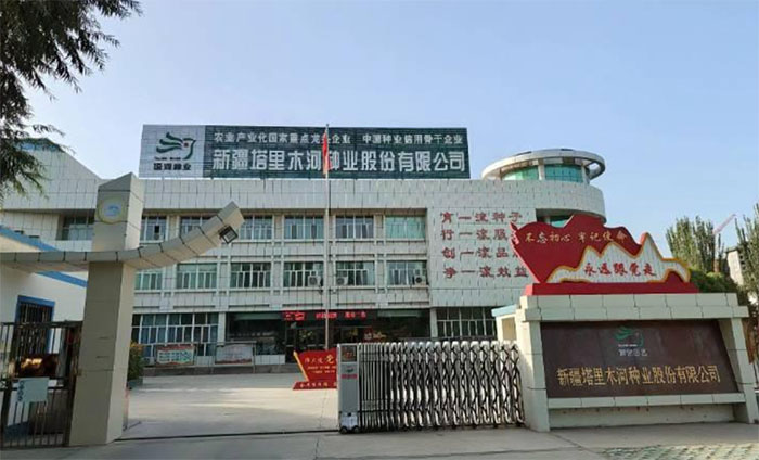 �L�N�I(y��)��˾����l(f��)չ����+����ľ��W(xu��)�r(n��ng)�W(xu��)Ժ�l(xi��ng)�����d���������(du��)