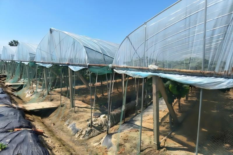 ����ͬ������ш@�_չ�ǻ��r�I���}�{��