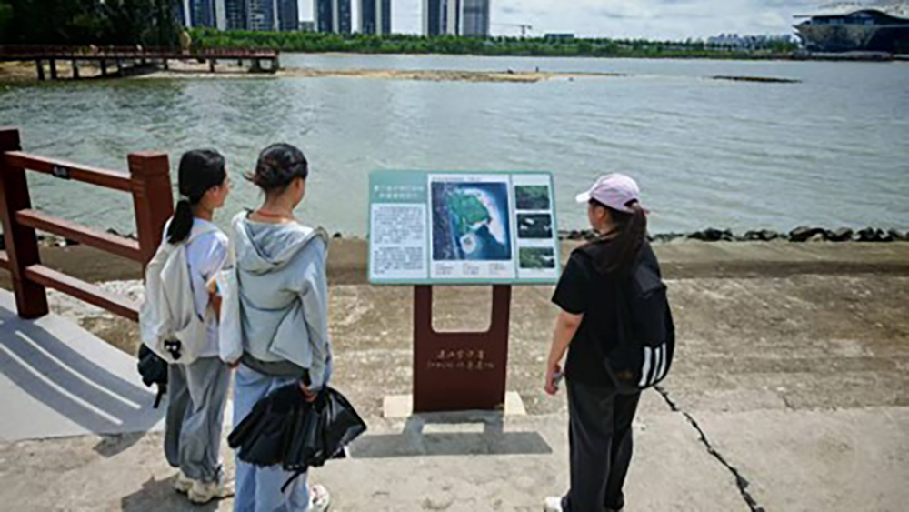 տ���Ƽ��WԺ���g�c�OӋ�WԺ���������`�F�{�Ј�桪��տ���t���ּt���ַN�B��ό������{�Ј��