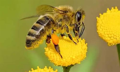 �o�۷�����������