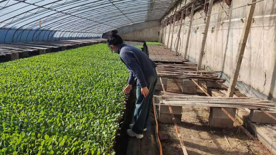 ���|��������ˮ���l�����d�����