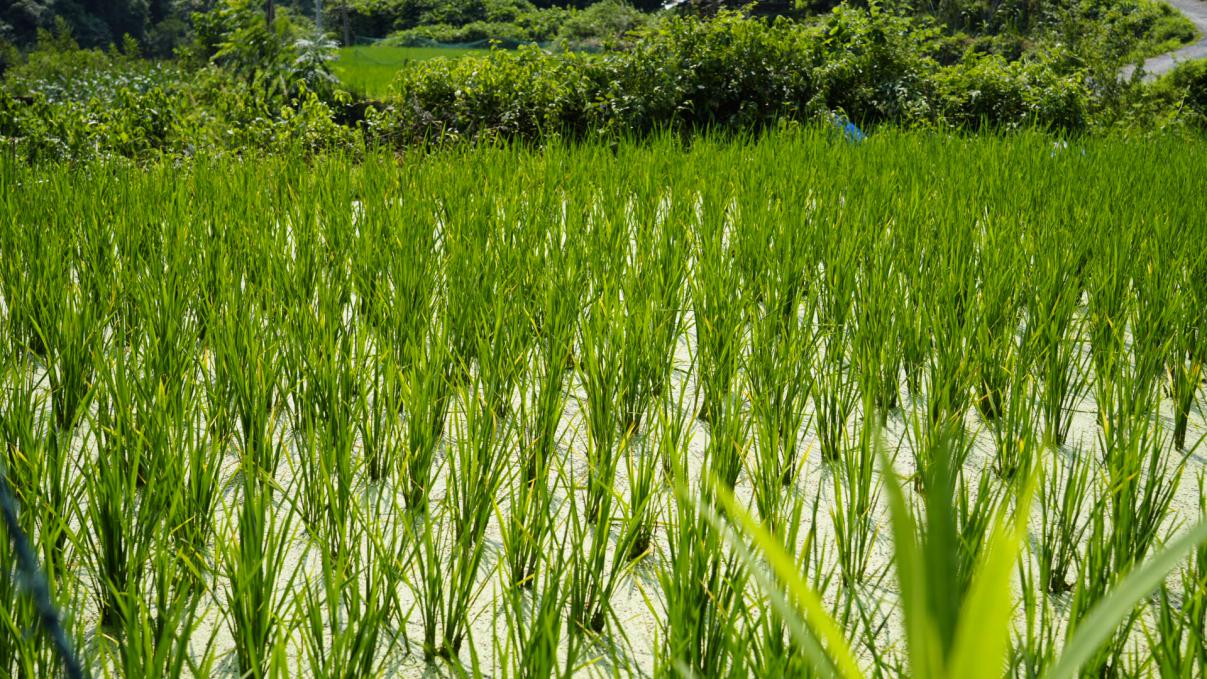 ����Ϫ֪�С����Lӛ�����R�^�����l�����d�®���