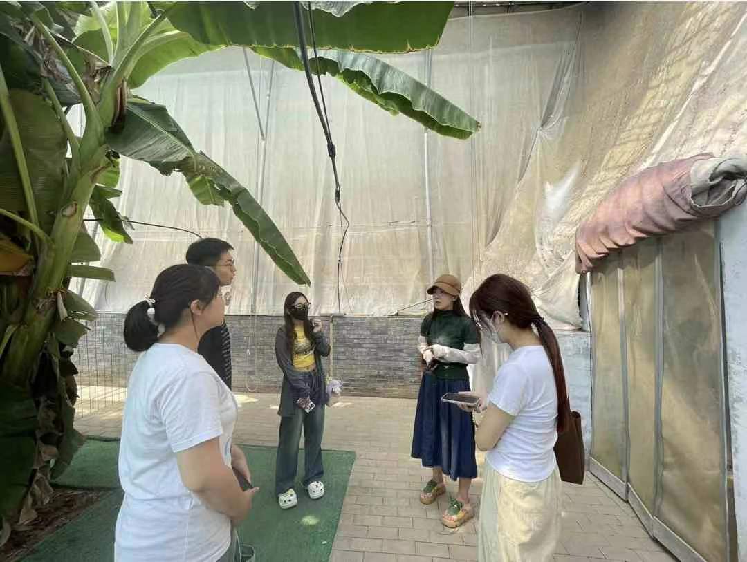 ̽�����Ϻ���ġ����o�塱����ʾ���塱���A����׃