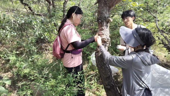 ���r(n��ng)�W(xu��)�ӑщ�־ ֪�в��e̽�x(ch��ng)��