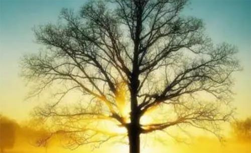 ��ů���Ŀ��Ԍ��������g�Đ�