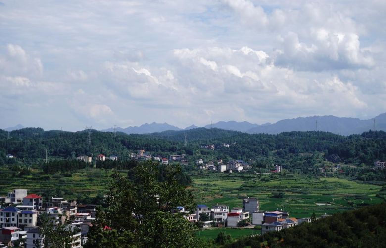 �ഺ�������t����顪����ꖌWԺ�ϳ�֧�̈F��x����ꖿh��ƺ��