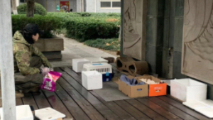 ������ɫ�� ׌�۲����ˡ���������С����؈