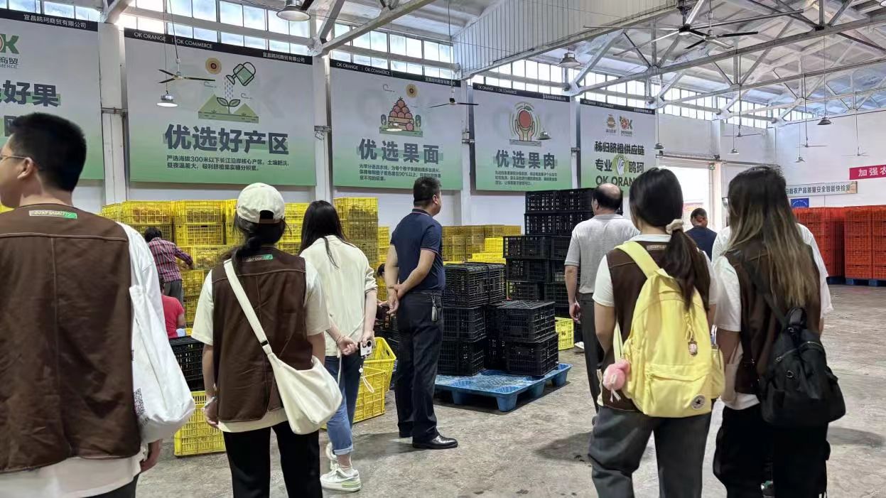 ��h�|���W(xu��)Ժ�����W(xu��)��(x��)���조�y(t��ng)��(zh��n)����̡�ģʽ