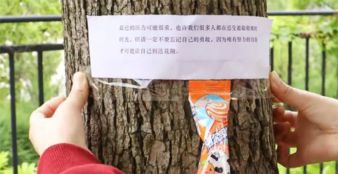 �����F�ݎ�����W(xu��)У�@���С��ů