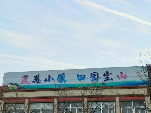 �����{ݮ��������ɽ