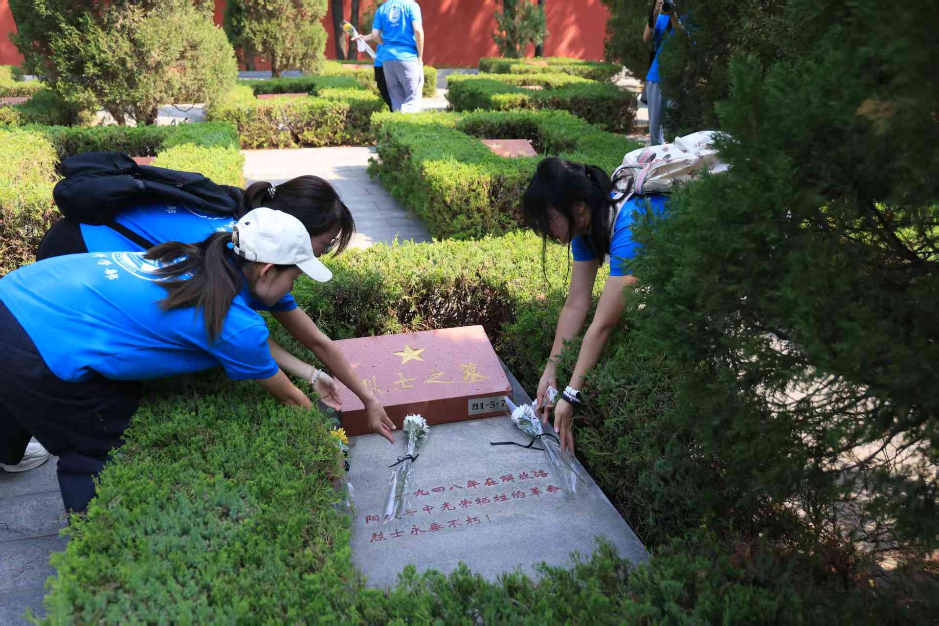 ��ƴ�������`�������_չ��������׃��88���꾒�Ѽo����