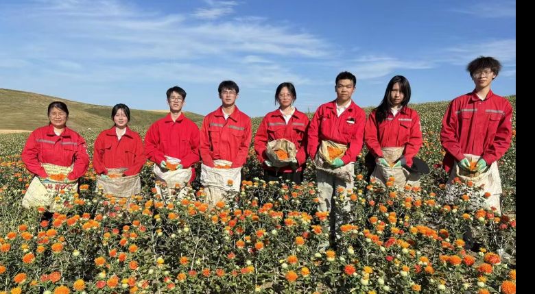 ʯ���Ӵ�W����W�Ӳ�ˎ���`�Е������tˎ�Ļ�������ƪ