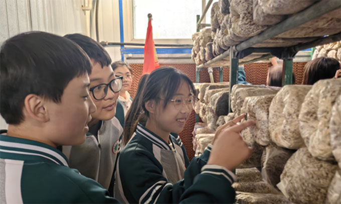 ��(j��)���Ѓ��݅^(q��)С���(zh��n)�_չ�����ס����(hu��)��(sh��)�`���(d��ng)