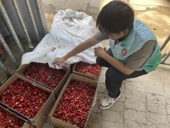 �����¼Z�������`�Fǰ�����@�����Zʳ��ȫ����